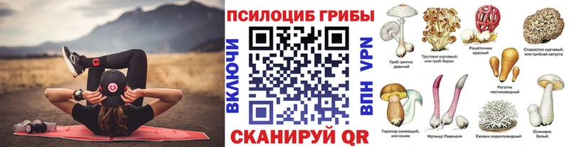 Псилоцибиновые грибы ЛСД  Луга 